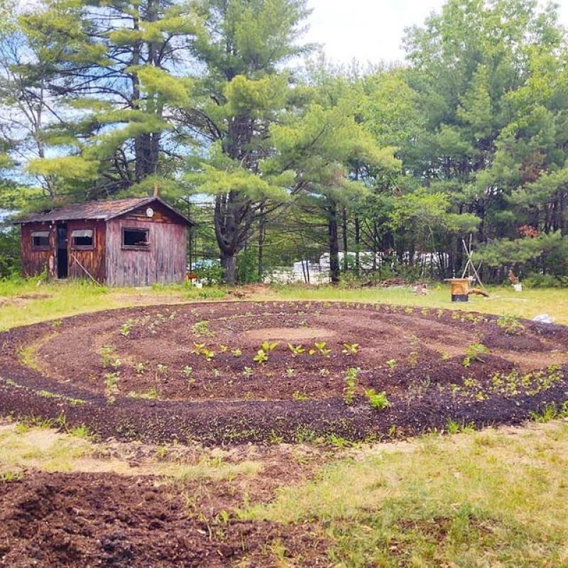 The start of the circle garden